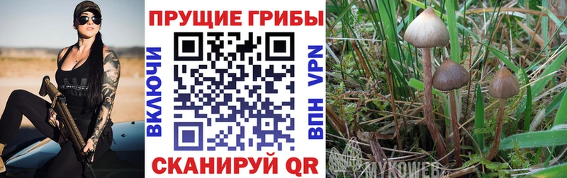 Галлюциногенные грибы мицелий  Чистополь 