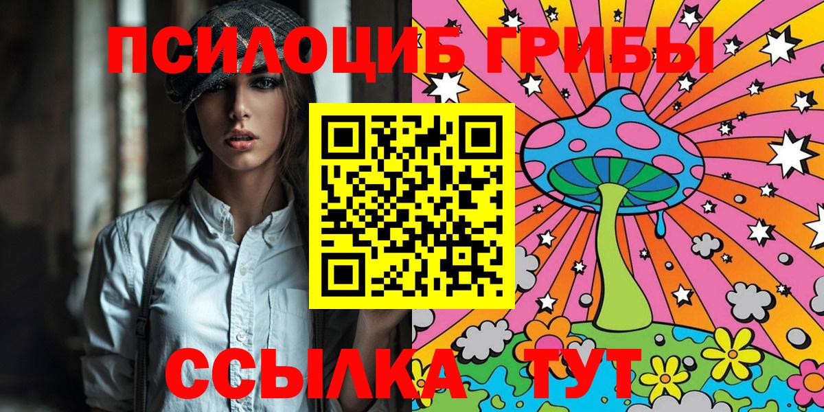 Чистополь  Псилоцибиновые грибы GOLDEN TEACHER  Псилоцибиновые грибы Magic Shrooms  Вход с VPN 
